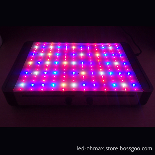 350W Square LED grow light for indoor planting